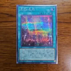 原石の皇脈　25thシークレット 2枚 遊戯王 原石の皇脈 25th 2枚 Amazon.co.jp: 【2枚セット