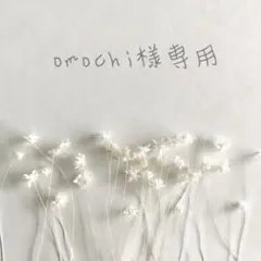 omochi様 リクエスト 2点 まとめ商品