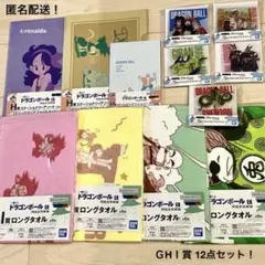 １２点 ＧＨＩ賞 アクスタ ノート 一番くじ ドラゴンボールEX 修業編 下位賞