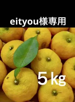 ゆずすだち様ご依頼用 ゆず玉(安田町産)柚子 12～15玉 | 高知県安田町 | ふるさと納税