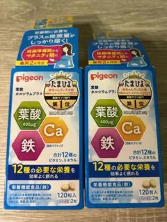 Item thumbnail for item db35c577-1905-4d2e-8270-8a41ee3d7dcd