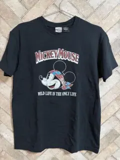 Item thumbnail for item 583d7a01-bf20-4710-9ca2-e34efee77fe9