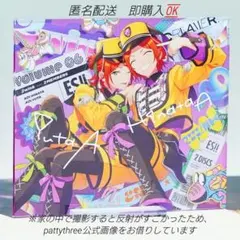 【ALBUM SERIES "TRIP"】アクリリックアート　2wink