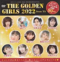 ゴードン様 リクエスト 2点 まとめ商品