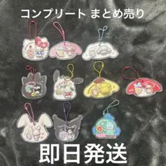 パッケージチャーム サンリオ