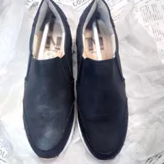 Item thumbnail for item 443c6fe2-b289-4384-9b56-c2537d982ef3