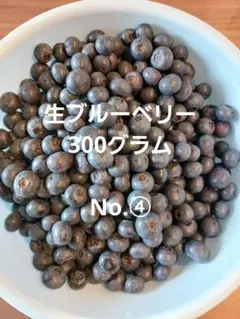 摘みたて　生ブルーベリー　お試し300グラム　No.④のサムネイル