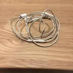 イヤホン　iPhone ライトニング　有線　純正