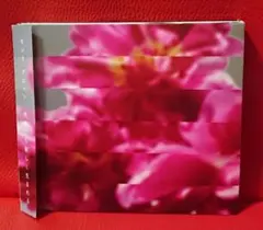 初回盤 CD ＋ DVD 付】 MONDO GROSSO 何度でも新しく生まれる