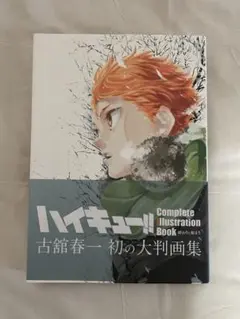おまけつき！ハイキュー!! Complete Illustration Book