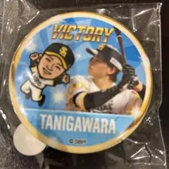 福岡ソフトバンクホークス 若鷹ガチャ VICTORYバージョン 谷川原選手