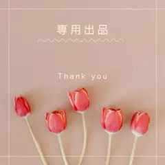 camellia様 リクエスト 2点 まとめ商品