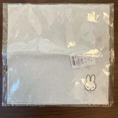 Item thumbnail for item 4113b3cc-892b-4957-bff9-30017c60b1d0