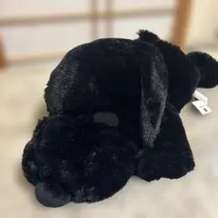 Item thumbnail for item d51f5290-735b-499a-8641-3c846e3d3e14