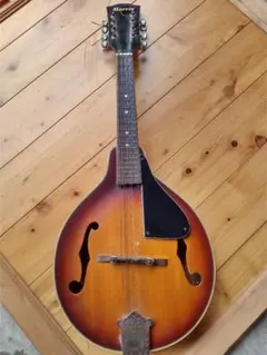 Item thumbnail for item af80b044-6a5a-4db6-84a8-af6dfd3457ac