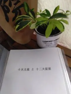 2026年最新】算命 朱学院の人気アイテム - メルカリ