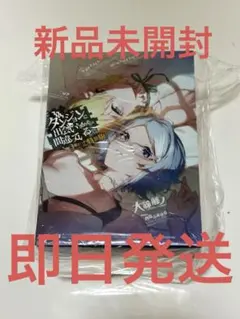 ダンまち カレンダー付特装版 アニメイト特典付セット 小説】ダンジョンに出会いを求めるのは間違っているだろうか 3冊