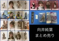【匿名配送】櫻坂46 向井純葉 生写真 グッズ まとめ売り