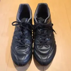 Item thumbnail for item fe13f66f-3885-4caa-9c19-0bc287727692