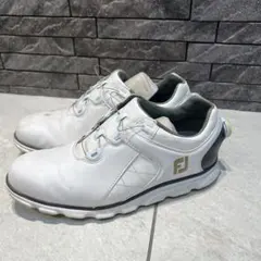 Item thumbnail for item d5088859-1481-4034-a23f-f1656f94ac5d