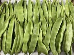 ふぅちゃん様専用ページ