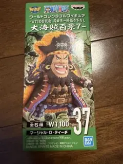 ワンピース ワールドコレクタブルフィギュア 大海賊百景7 マーシャルD・ティーチ