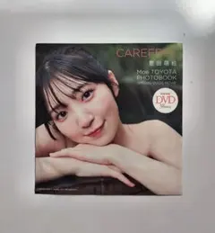 豊田萌絵 【CAREFREE】DVD 38分 週刊プレイボーイ 特別付録