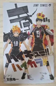 ハイキュー!! 公式カラーイラスト集 ハイカラ!!