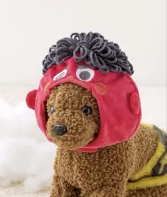 スリーコインズ 節分 ペット用 鬼のかぶりもの