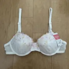 プリリ