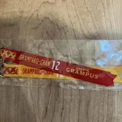 名古屋グランパス グランパコちゃん ボンフィン 12