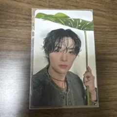 straykids リノ 会場限定 トレカ 5/11 エコパ