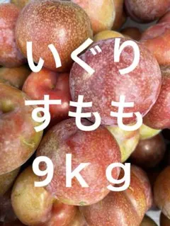 ㉛鹿児島県産 いぐりすもも 8.0kg - メルカリ