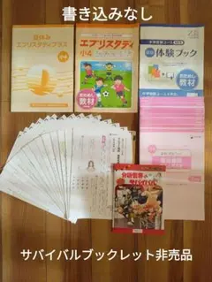 小４★Ｚ会エブリスタディ提出課題5か月分・夏休みドリル・体験ドリル2冊＋オマケ