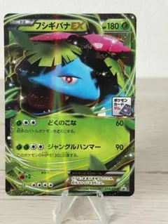 フシギバナEX PROMO XYシリーズプロモーションカード PROMO 233のサムネイル