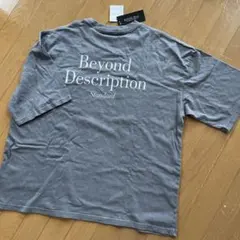 メンズゆったりＴシャツ（バックプリント・グレー系L）