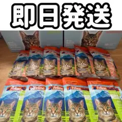 フィーラインナチュラル チキン&ラム5袋 キングサーモン6袋 ホキビーフ1袋