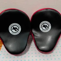 Item thumbnail for item 6b6b4d10-0413-44d3-a71a-e1dc75f6fdf8