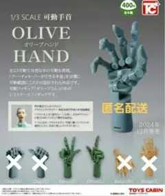 ばら売り「可動手首 オリーブハンド」OLIVE HAND 1/3 SCALE 楽天市場】【コンプリート】1/3 SCALE 可動手首 OLIVE HAND