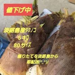 岡山県産☆掘りたて新鮮タケノコ５キロ☆米ぬか付き 岡山県産☆掘りたて新鮮タケノコ5キロ☆米ぬか付き - メルカリ