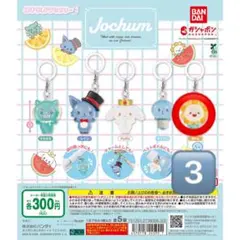 JOCHUM めじるしアクセサリー Bira 3つセット まとめ売り