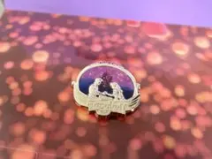 【非売品】Disney ラプンツェル ピンバッジ JCB 2025