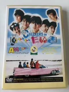 특전 영상이 포함된 탄탄 타누키 DVD 체커 제작