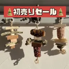 Item thumbnail for item a561393b-400e-46b0-bea8-b82d33cfd12c