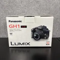 2026年最新】lumix dmc gh1の人気アイテム - メルカリ