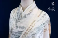 夏着物 夏 絽 小紋 アイボリー 枝葉 身丈160cm 裄丈66cm 正絹 夏着物 夏 絽 小紋 アイボリー 枝葉 身丈160cm 裄丈66cm 正絹 - メルカリ