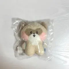 ゼベワン zeroni ハニニ ジャンハオ メッセージキーリング ゼロニ ZB1