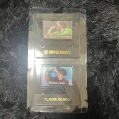 Item thumbnail for item 2a04a4b9-bef2-4d7f-9e3e-b63ea156a84a