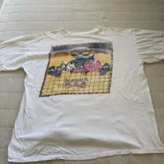 MAUNA KEA HAWAII Tシャツ