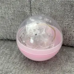 うちの子けだまだま ポメラニアン C-pla＆ペテモ限定